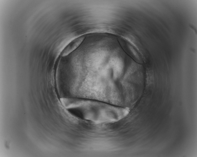 X0000101961468200808081517