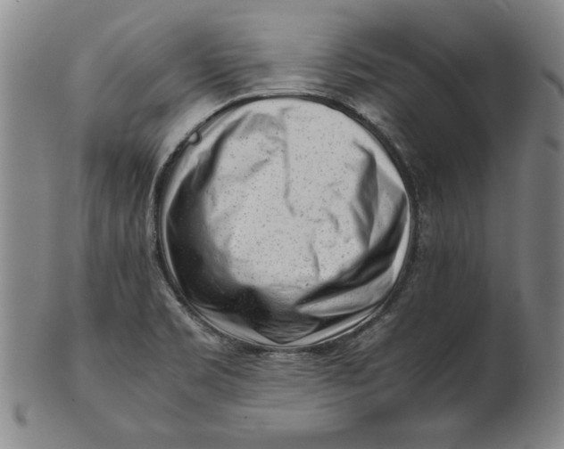 X0000101961469200808081517