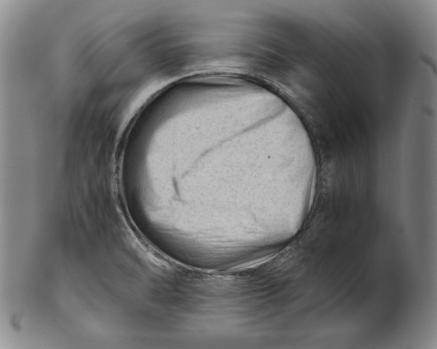 X0000101961470200808081517