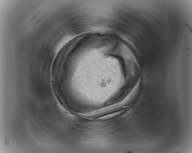 X0000101961471200808081517