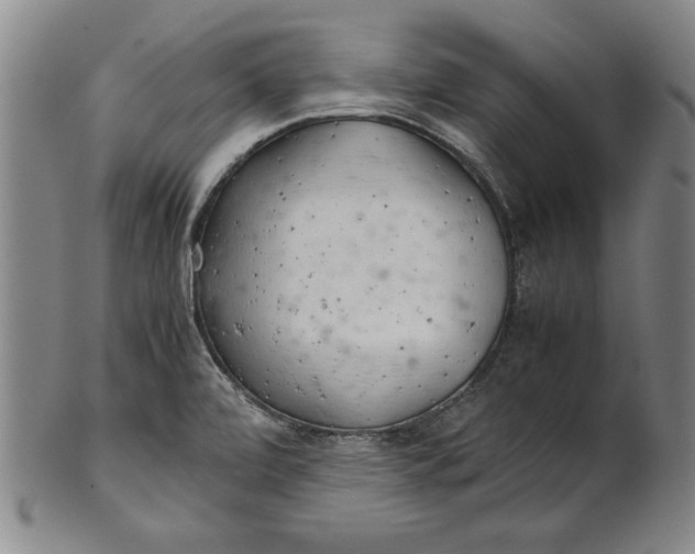 X0000101961472200808081517