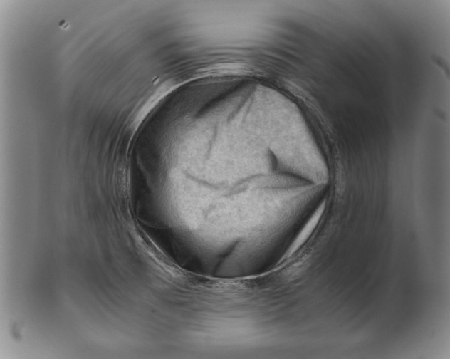 X0000101961473200808081517