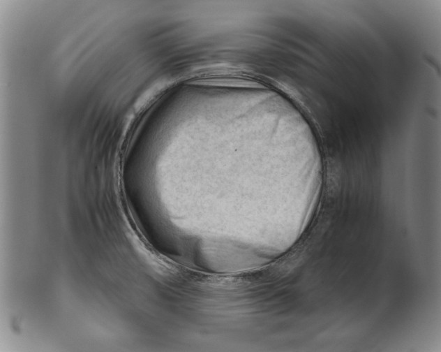 X0000101961474200808081517