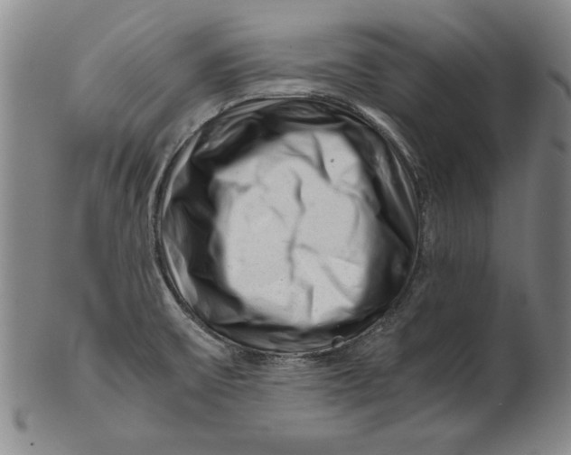 X0000101961475200808081517