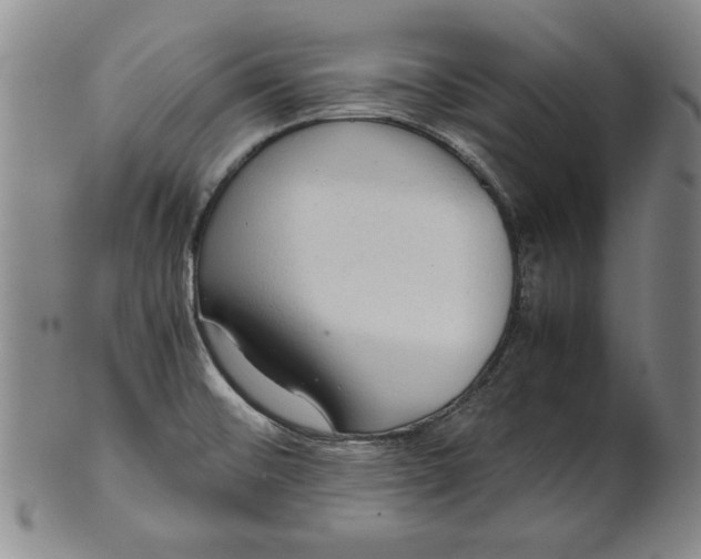 X0000101961476200808081517