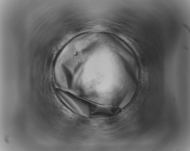 X0000101961477200808081517