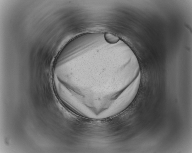 X0000101961478200808081517