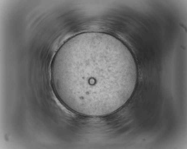 X0000101961479200808081517