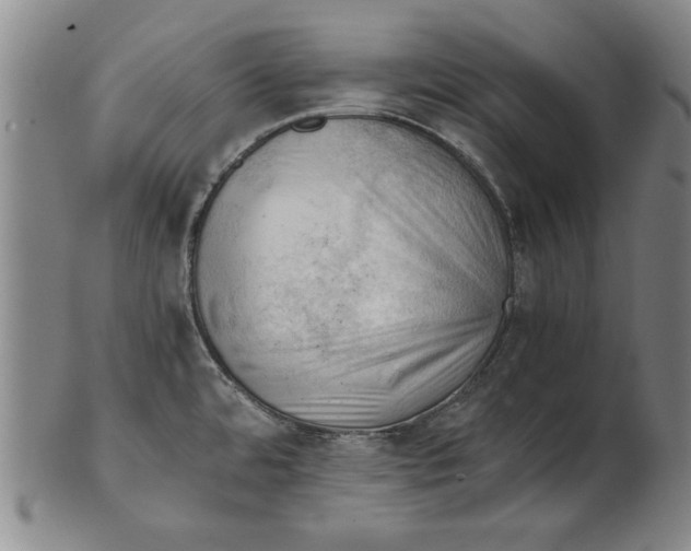 X0000101961480200808081517