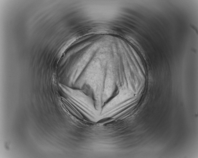 X0000101961481200808081517