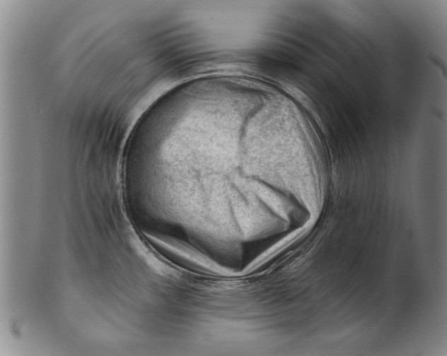 X0000101961482200808081517