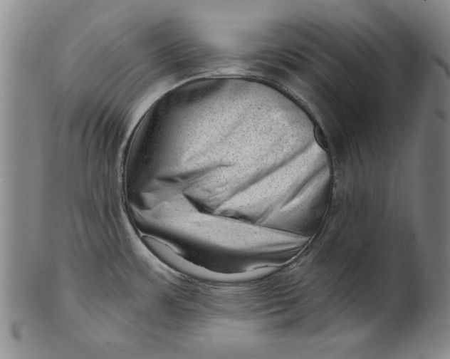 X0000101961483200808081517