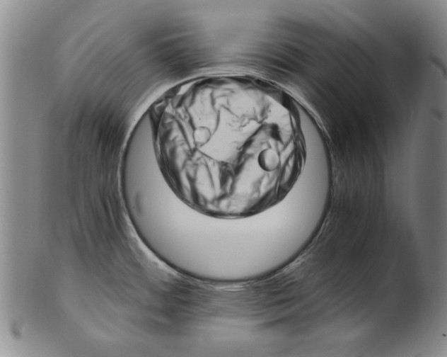 X0000101961484200808081517