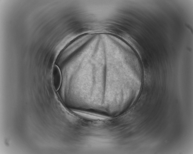 X0000101961485200808081517