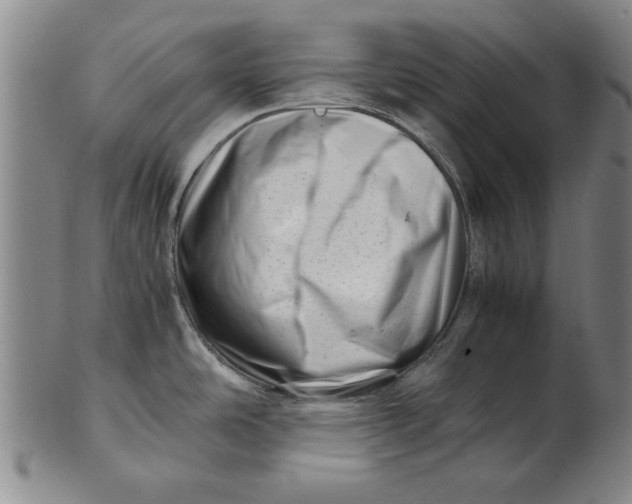 X0000101961486200808081517