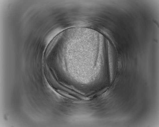 X0000101961487200808081517