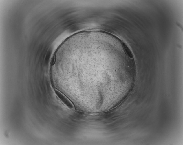 X0000101961488200808081517