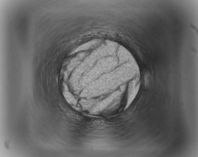 X0000101961489200808081516