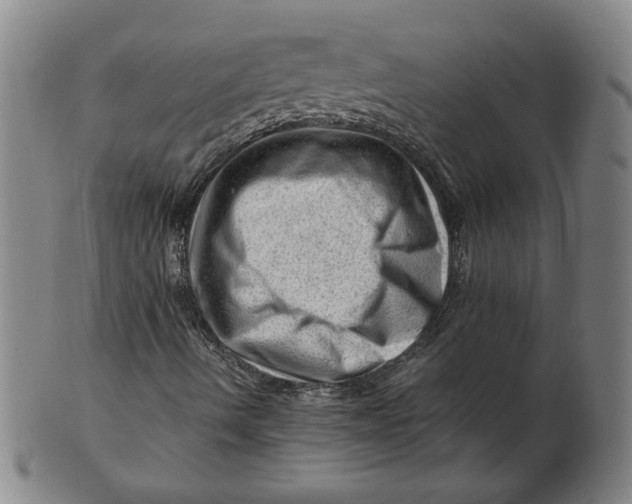 X0000101961490200808081516