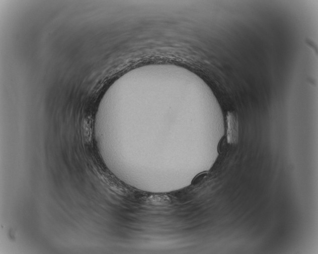 X0000101961491200808081516