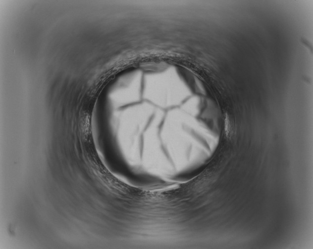 X0000101961492200808081516