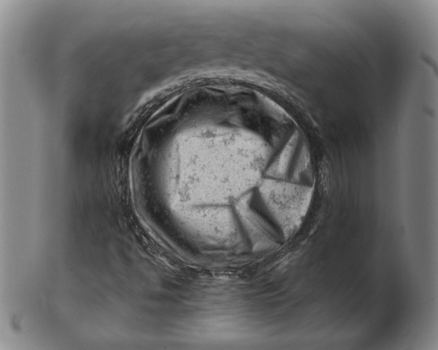 X0000101961494200808081516