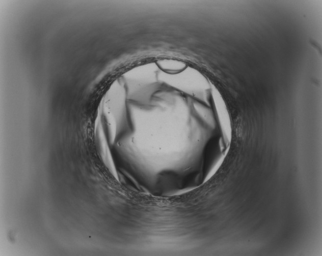 X0000101961495200808081516