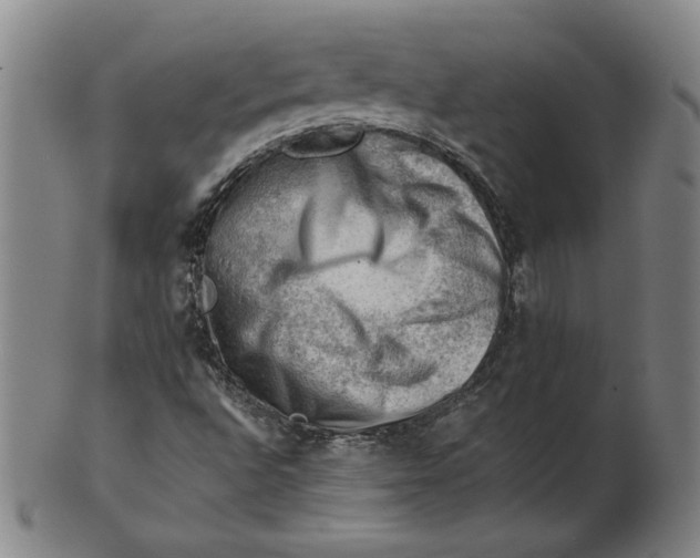 X0000101961496200808081516