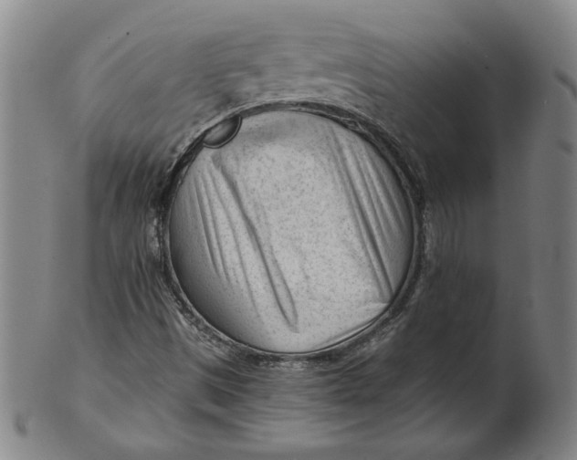 X0000101961497200808081516