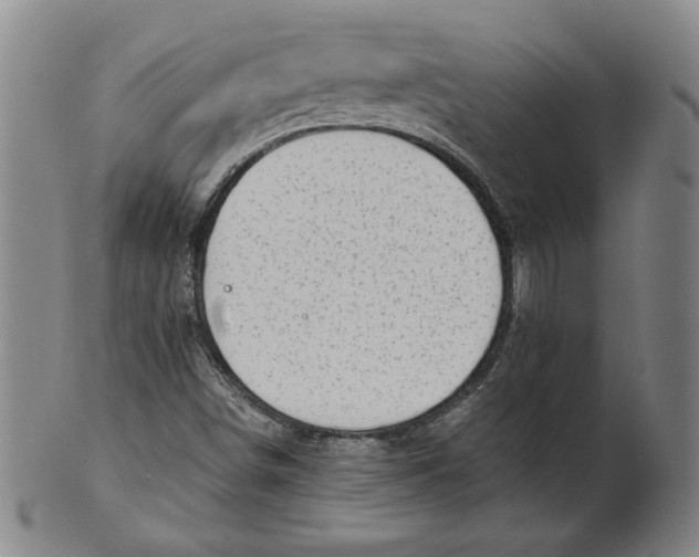 X0000101961498200808081516