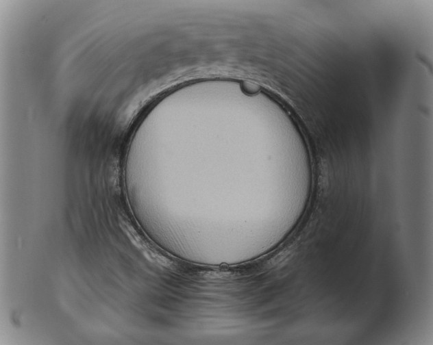 X0000101961499200808081516