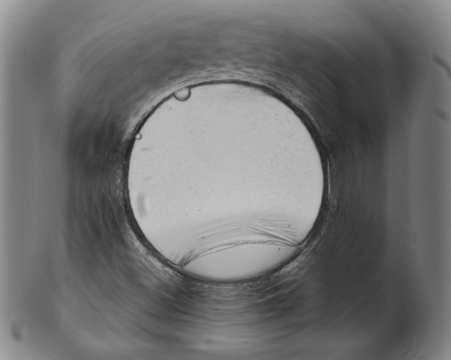 X0000101961500200808081516