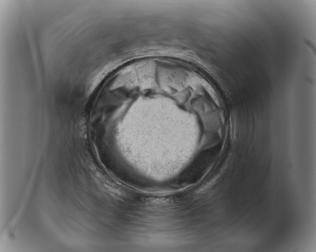 X0000101961501200808081516