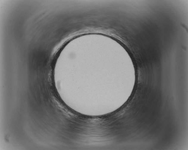 X0000101961502200808081516