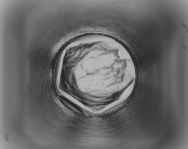 X0000101961503200808081516