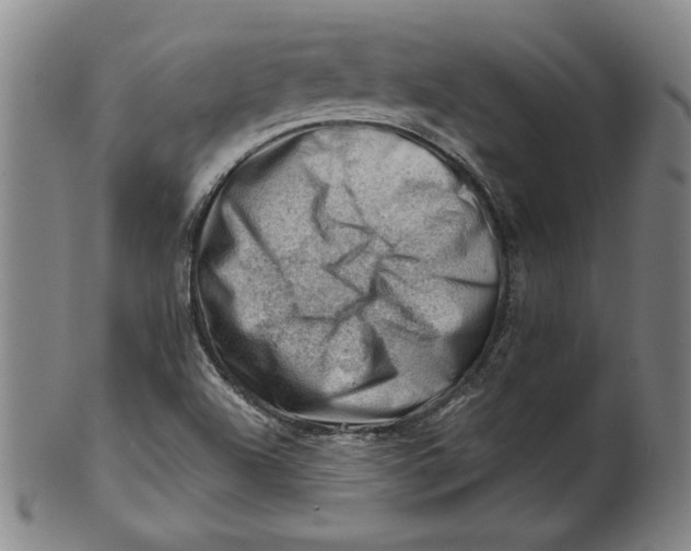 X0000101961504200808081516