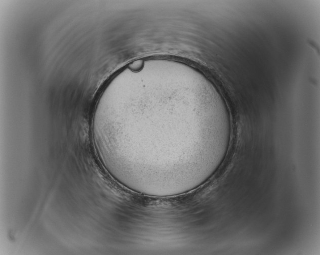 X0000101961505200808081516