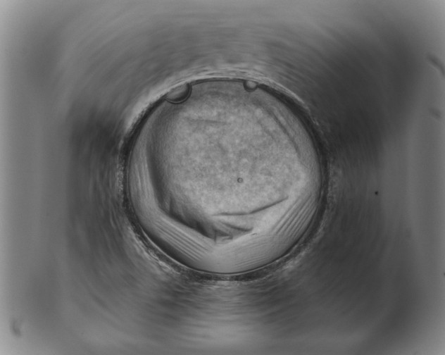 X0000101961506200808081516