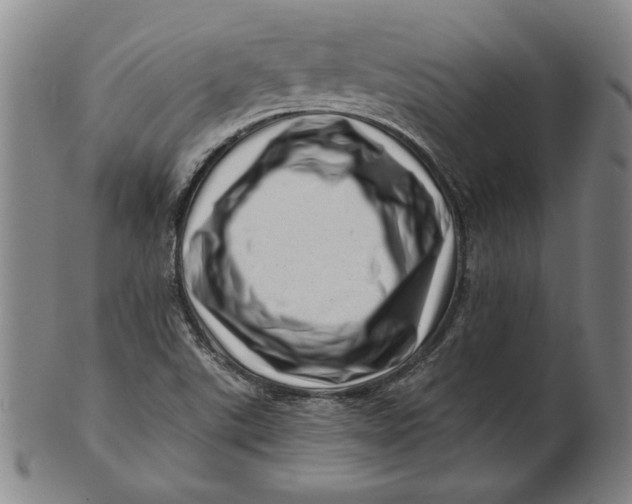 X0000101961507200808081516