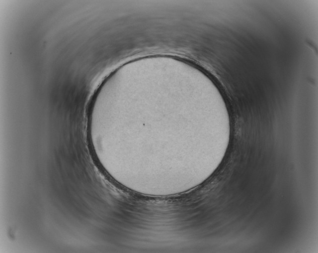 X0000101961508200808081516