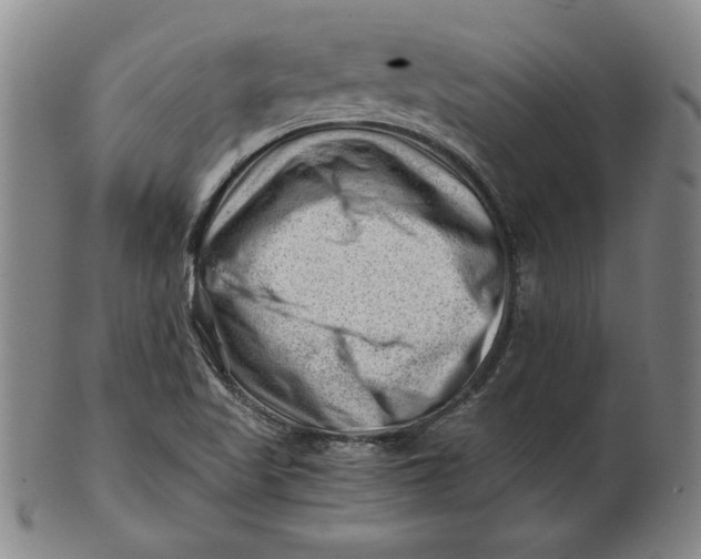 X0000101961509200808081516