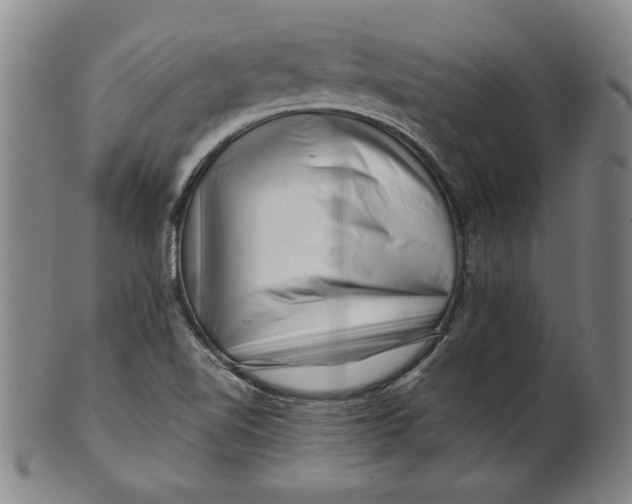 X0000101961510200808081516