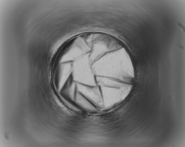 X0000101961511200808081516