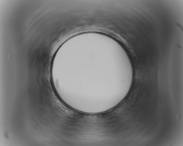 X0000101961512200808081516