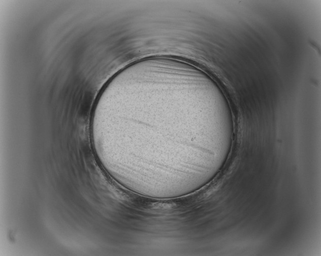 X0000101961513200808081516