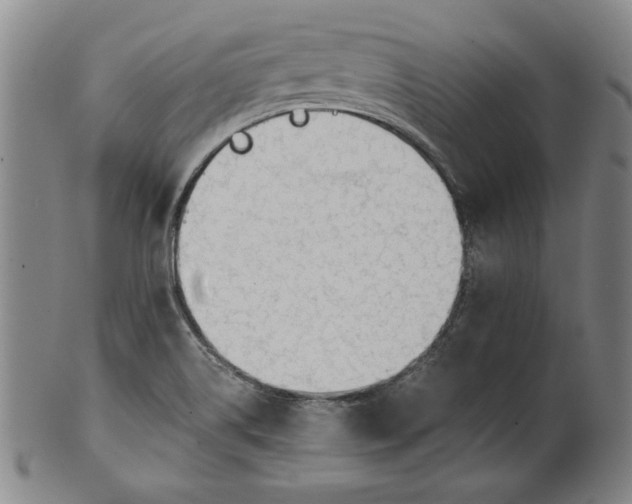 X0000101961514200808081516