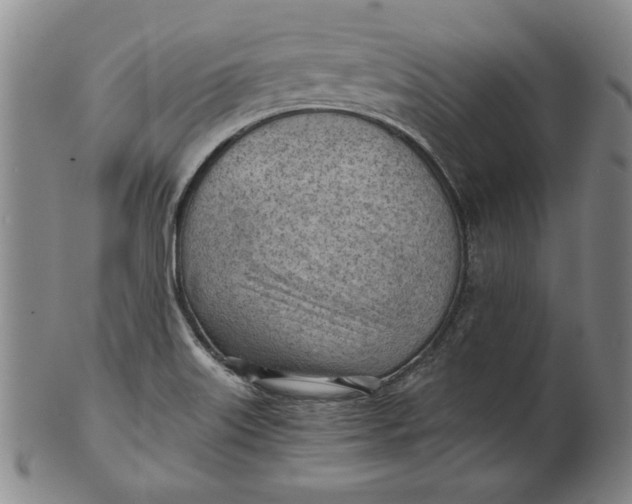 X0000101961515200808081516