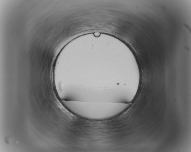 X0000101961516200808081516