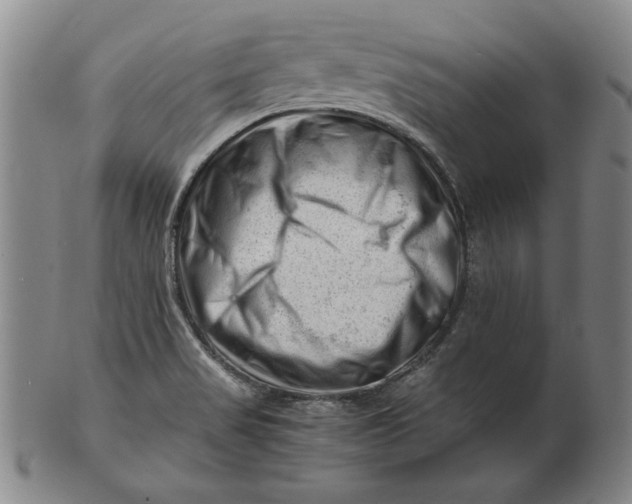 X0000101961517200808081516