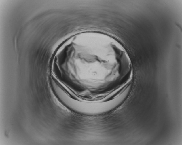 X0000101961518200808081516